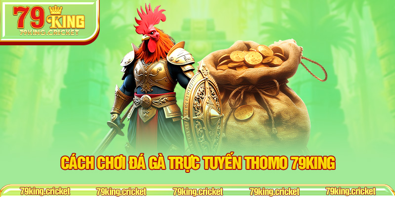 Cách chơi đá gà trực tuyến Thomo 79KING