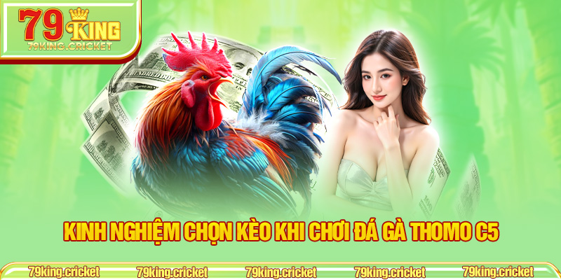 Kinh nghiệm chọn kèo khi chơi đá gà Thomo C5